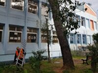 Κλάδεμα Δέντρων στον Δήμο Αμαρουσίου - Δημόσιο Έργο - ΟΔΙΟΣ Τεχνική, Κατασκευαστική